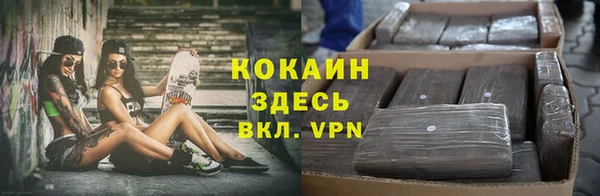 спиды Володарск