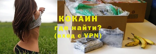 ПСИЛОЦИБИНОВЫЕ ГРИБЫ Вязьма
