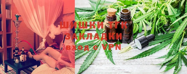 apvp Вяземский