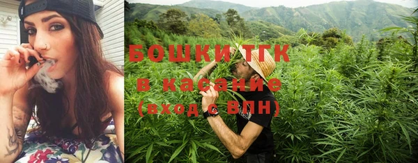 apvp Вяземский