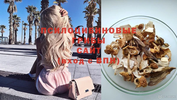 СК Вязники