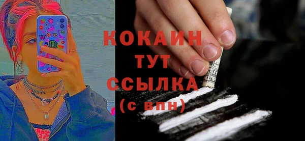 apvp Вяземский