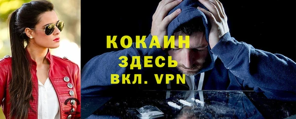 ПСИЛОЦИБИНОВЫЕ ГРИБЫ Вязьма