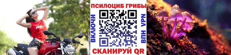 Псилоцибиновые грибы GOLDEN TEACHER  сайты даркнета телеграм  Обнинск 
